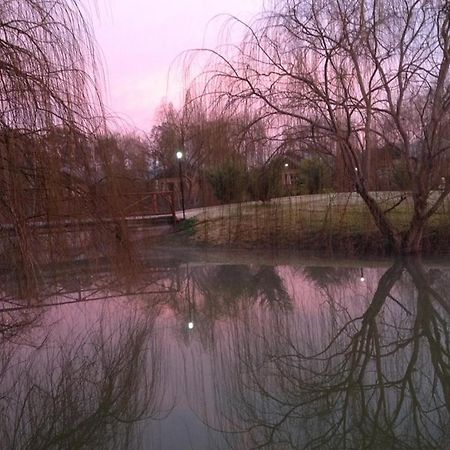 Отель Perricoota Vines Retreat Моама Экстерьер фото