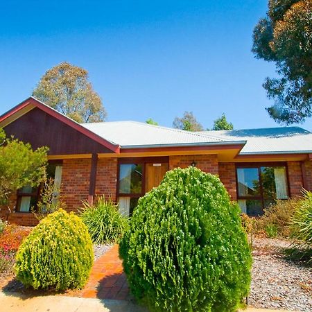 Отель Perricoota Vines Retreat Моама Экстерьер фото