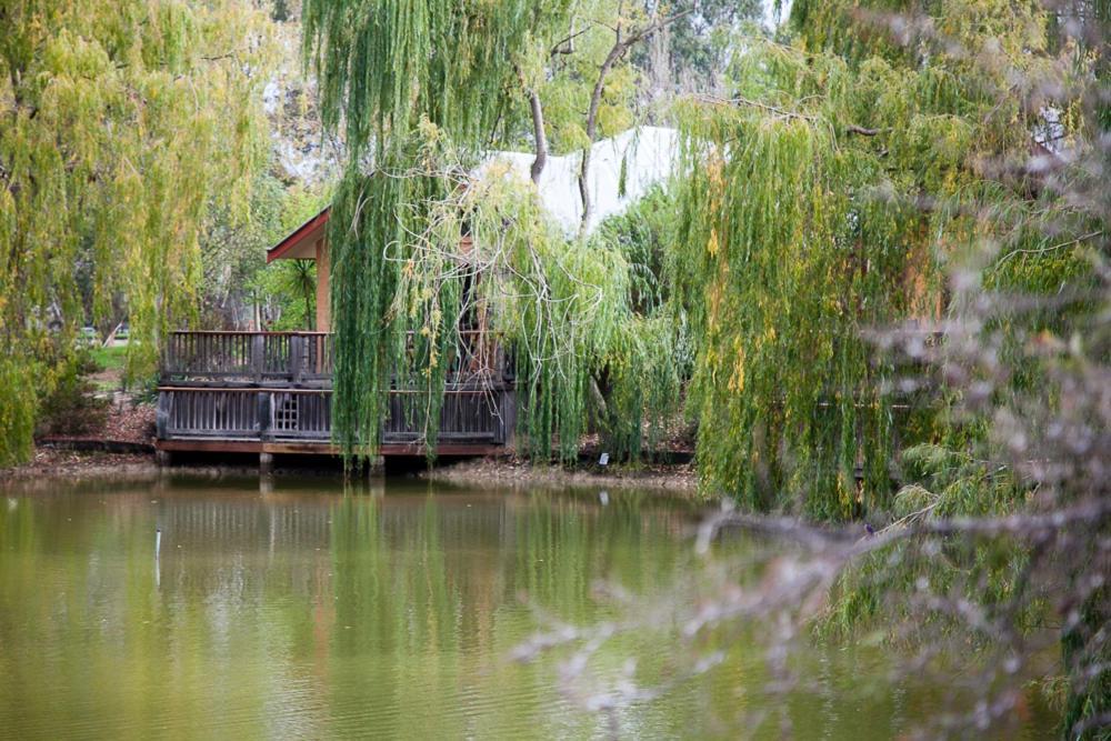Отель Perricoota Vines Retreat Моама Номер фото