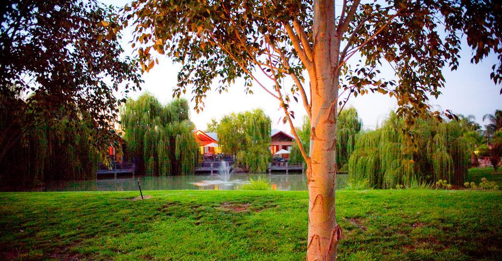 Отель Perricoota Vines Retreat Моама Экстерьер фото
