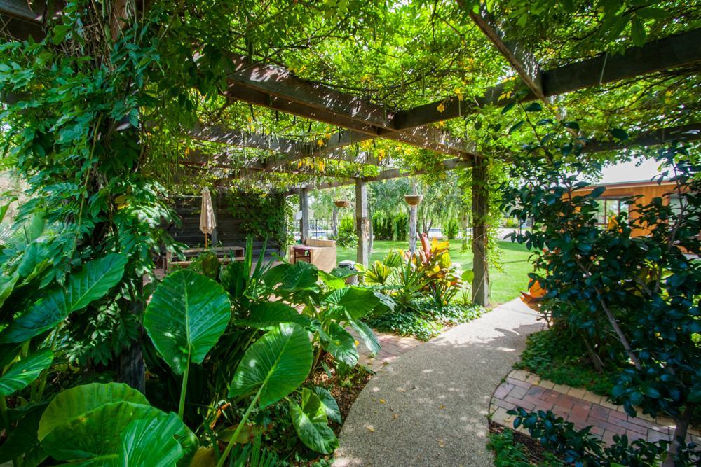Отель Perricoota Vines Retreat Моама Экстерьер фото