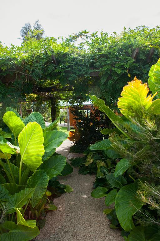 Отель Perricoota Vines Retreat Моама Экстерьер фото
