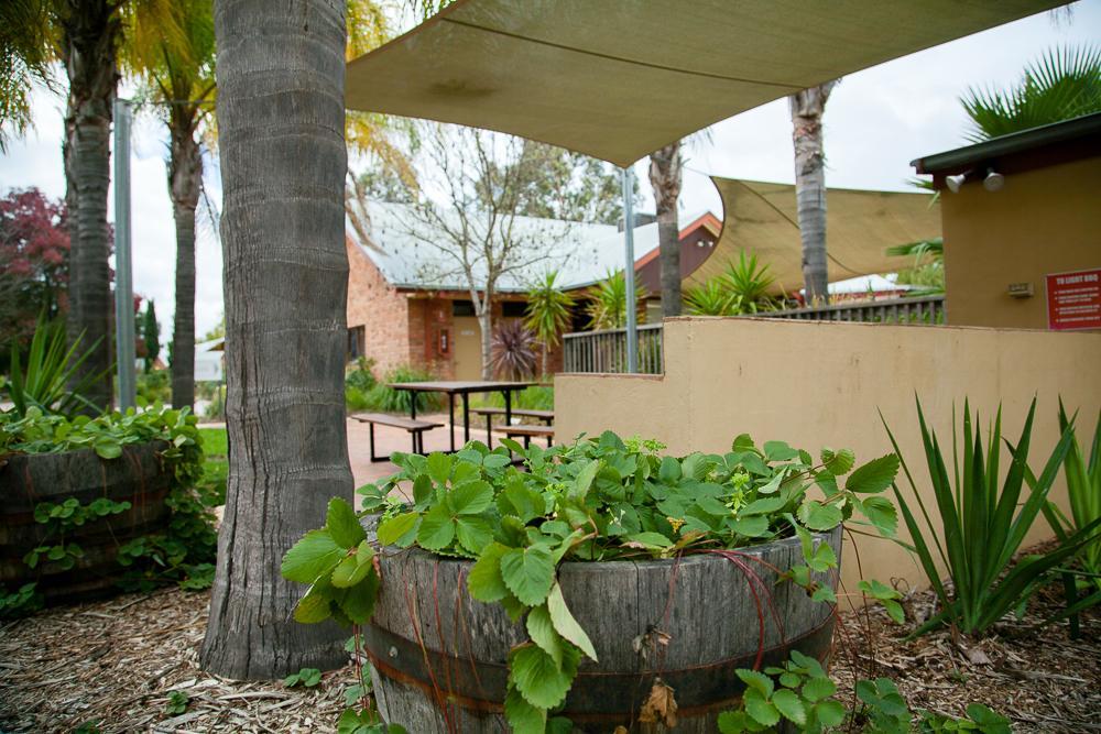 Отель Perricoota Vines Retreat Моама Экстерьер фото