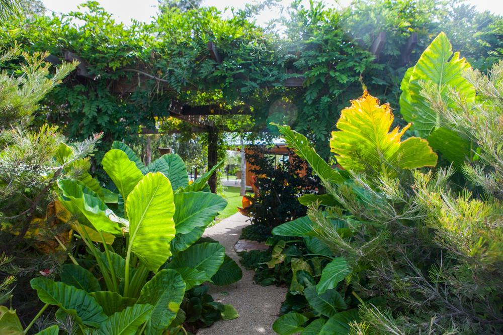 Отель Perricoota Vines Retreat Моама Экстерьер фото